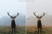 Pumpkin Spice Fall Lightroom Preset, a Preset Add-On by CityTurtles (Thumbnail 5 of 11)