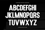 Hostero - Condensed Sans Serif Font, a Sans Serif Font by Flawless And Co (Thumbnail 6 of 10)