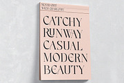 Andriani, a Serif Font by HATFSTUDIO (Thumbnail 4 of 9)