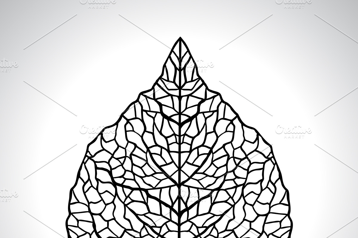 Natural macro leaves. preview 3