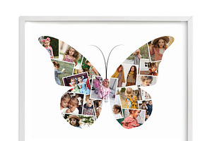 Beautiful Butterflies Photo Collage