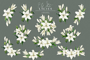 White Lilies Watercolor Set, an Illustration by Natalia Fedorova (Thumbnail 8 of 12)