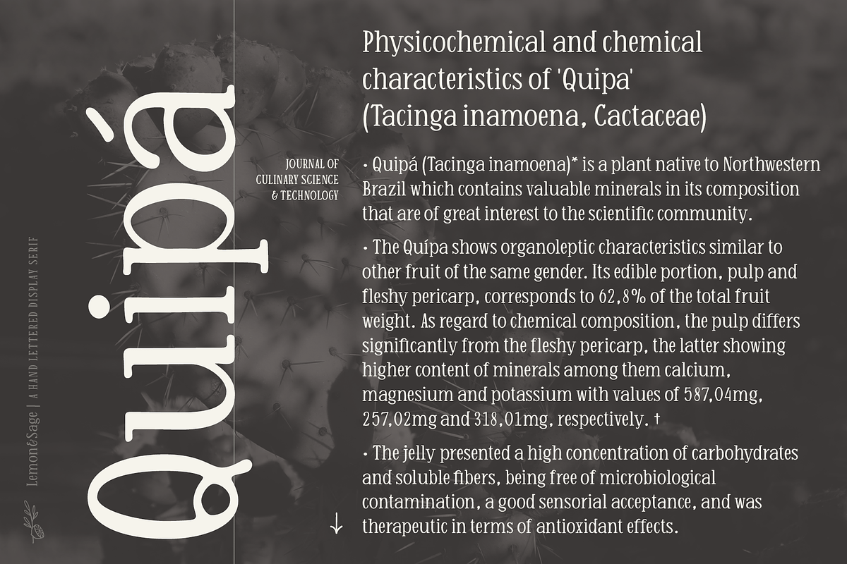 Lemon And Sage Display Serif Font, a Serif Font by Ayca Atalay (Photo 4 of 6)