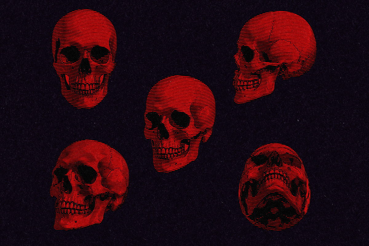 Vintage Skull Engraving Collection, an Object Illustration by Kaizla03 (Photo 5 of 5)
