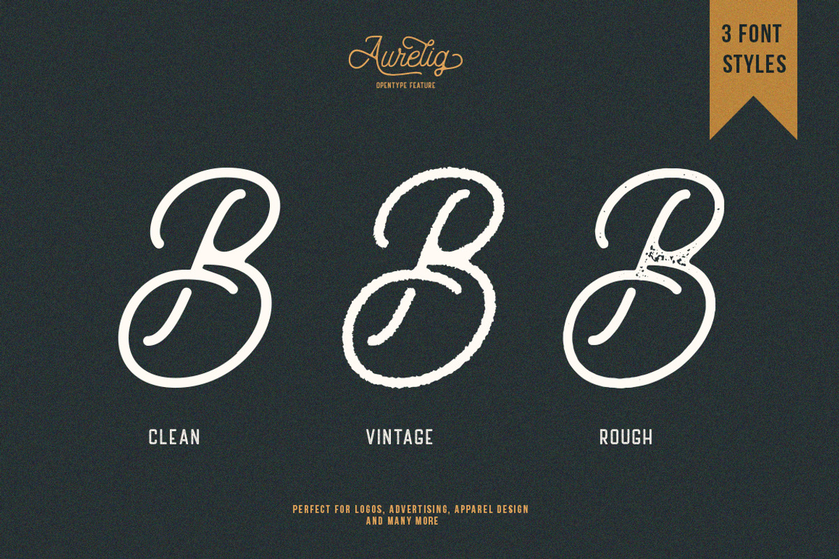 Aurelig Vintage Script (3 Fonts) preview 8
