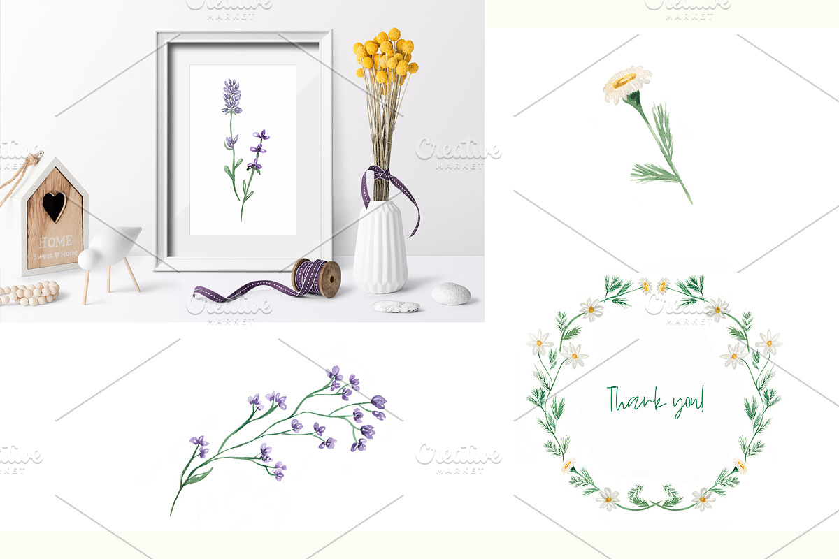 Watercolor Wildflowers Collection, a Decorative Illustration by MayaNavits (Photo 14 of 14)