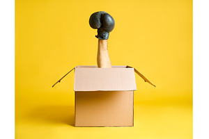 Hand in boxing glove raised up from, a Sports & Recreation Photo by Gladkov photography