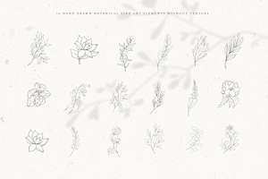 Botanical Alphabet & Monograms.