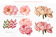 LivingCoral Watercolor Flowers, an Illustration by May • SHO (Thumbnail 6 of 13)