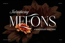 Mefons Elegant Serif Font