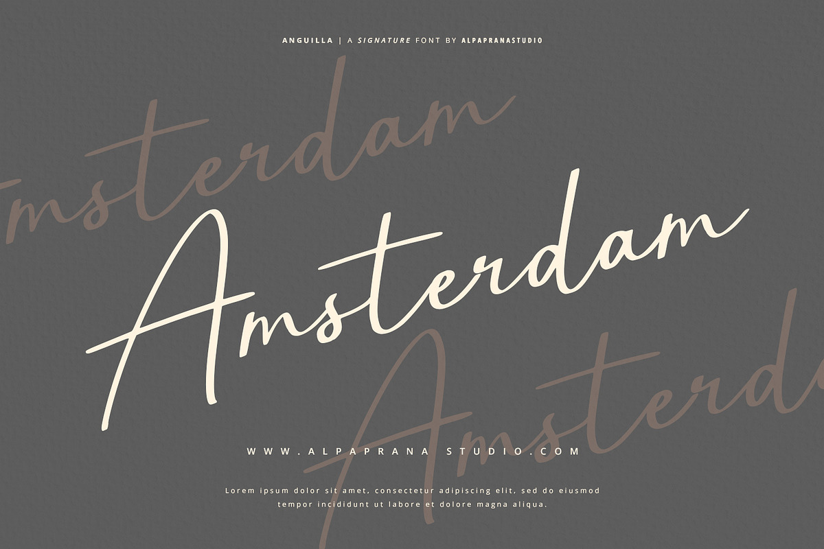 Anguilla - Signature Font, a Script Font by Alpaprana (Photo 3 of 13)