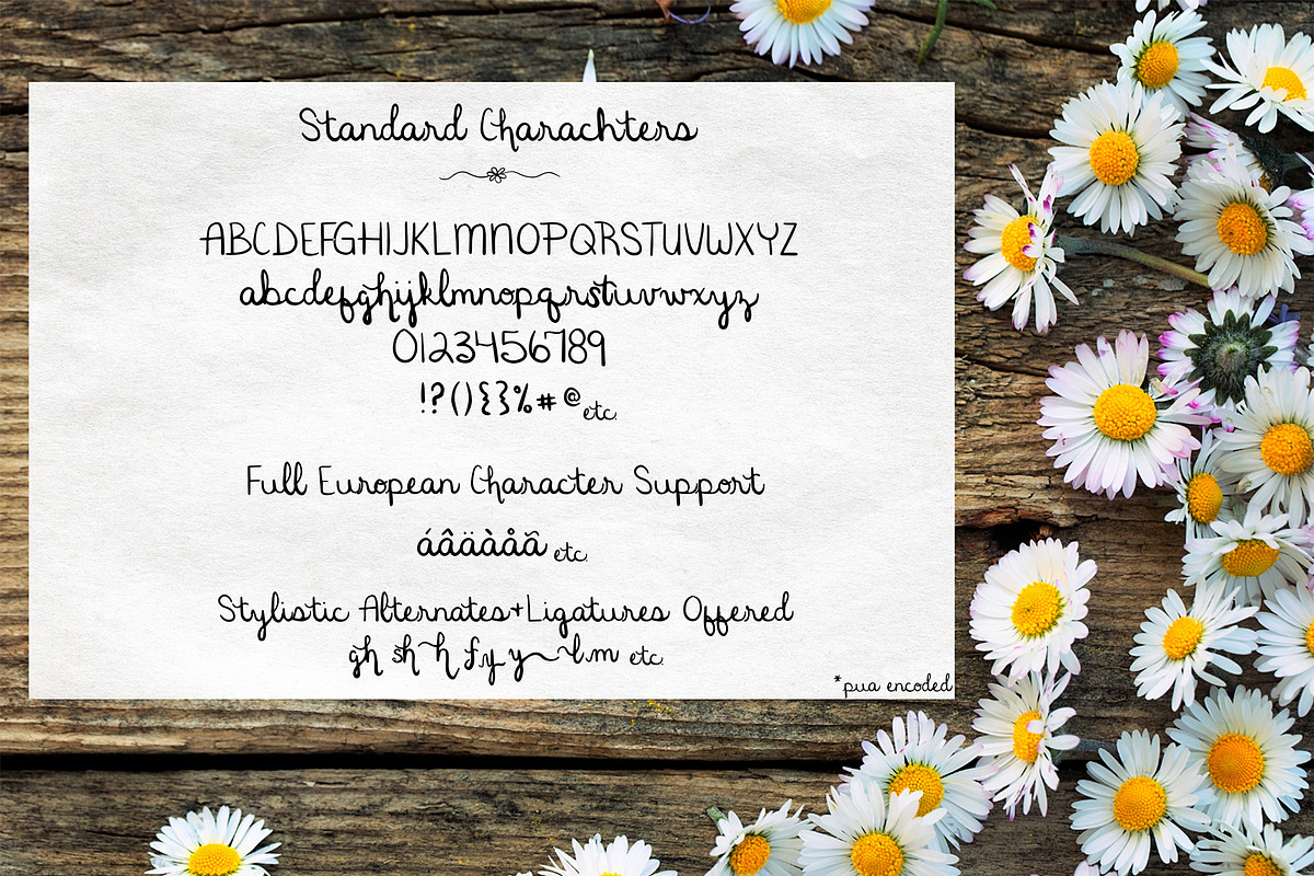 Happy Daisy Handwritten Script Font, a Script Font by Ash Avenue Designs (Photo 6 of 7)