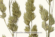 Airy Meadow – Dried Rose & Meadow Se, an Object Graphic by Aga Silva (Thumbnail 7 of 7)