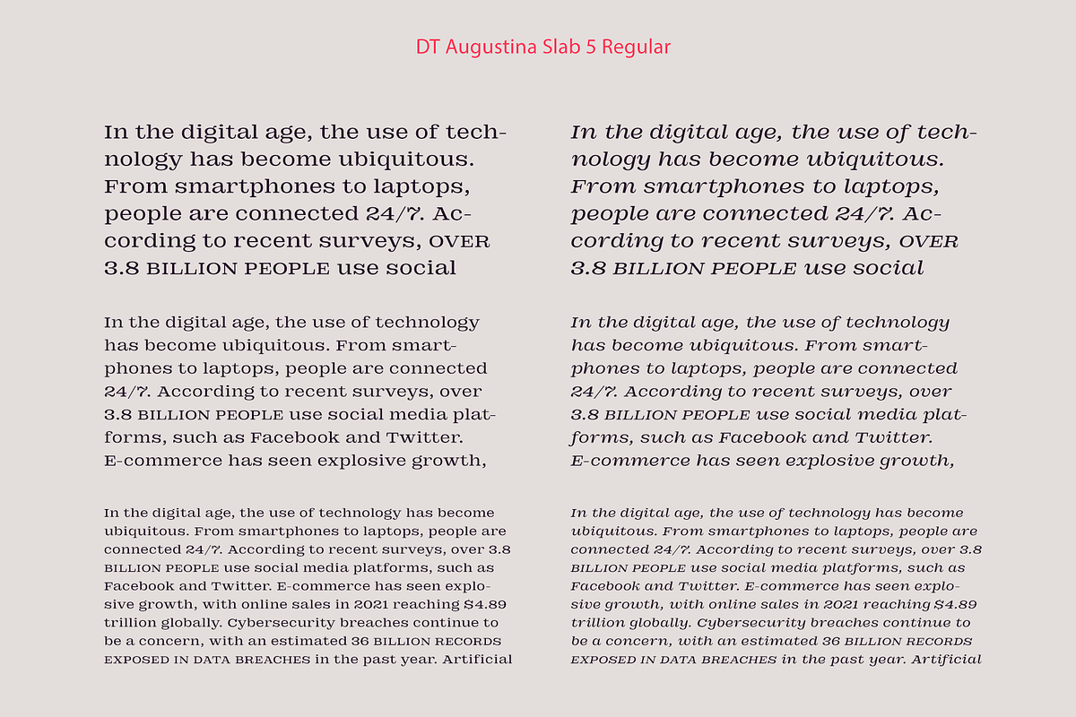 DT Augustina Slab 5 Subfamily, a Slab Serif Font by Deveze Type Foundry (Photo 8 of 31)