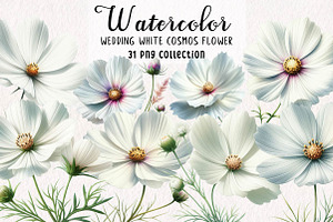 Wedding White Cosmos Flower Clipart
