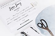 Siren Song font and texture pack, a Script Font by Ana's Fonts (Thumbnail 6 of 10)