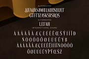 Mocnetla Display Serif Font, a Serif Font by Storytype Studio (Thumbnail 14 of 15)