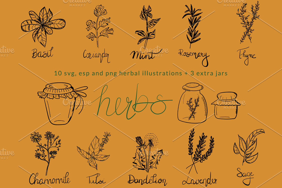 Herbal Illustrations/Icons, a Food Illustration by Mindful & Curious Design (Photo 2 of 3)