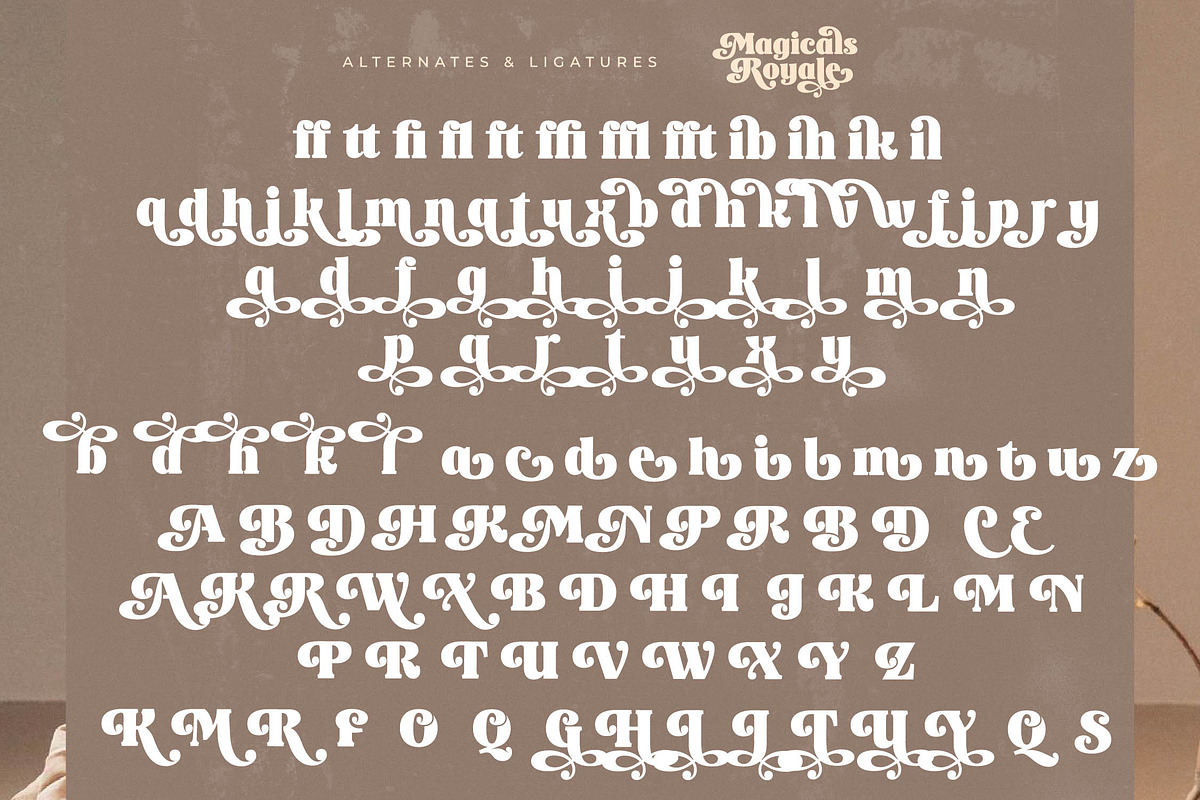 Magicals Royale Modern Vintage Font, a Serif Font by timelesstype.co (Photo 19 of 20)