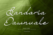 Sandoria Dawnvale Script Font, a Script Font by Denustudios (Thumbnail 1 of 13)