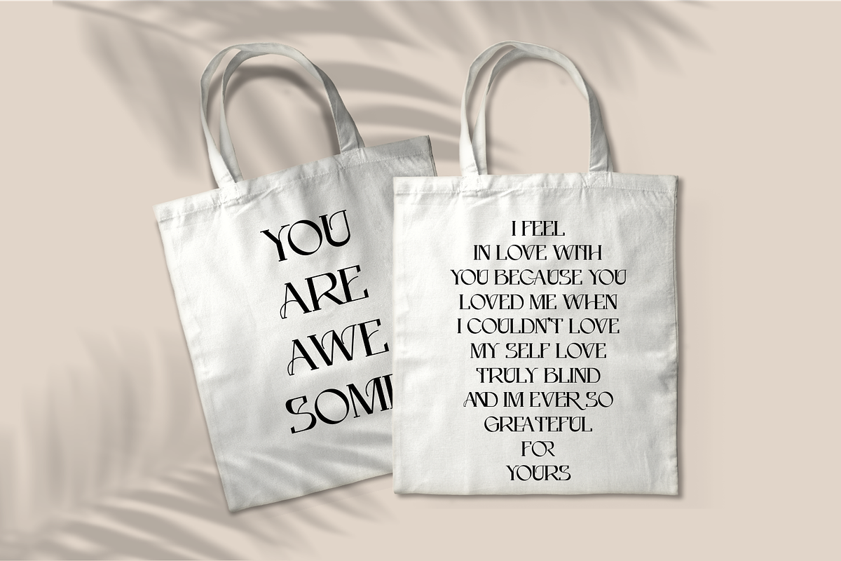 Sklines Chic Display Serif, a Serif Font by zamjumps (Photo 7 of 11)