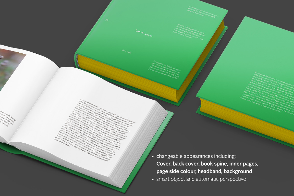 Square Hardcover Book Mock-up, a Print Template by Madbiologist (Photo 3 of 5)