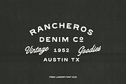 Free Lander - Font Duo + Extra, a Handwritten Font by Davide Bassu (Thumbnail 2 of 7)