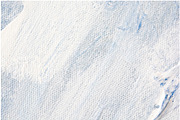 Winter snowstorm Christmas Textures, a Texture Graphic by Oleg and Katja (Thumbnail 23 of 37)