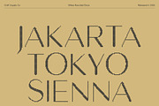 Mikea Rounded Disco, a Sans Serif Font by Craft Supply Co. (Thumbnail 4 of 8)