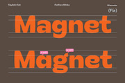 30% OFF! Flatface Briska, a Sans Serif Font by Flatface (Thumbnail 8 of 14)