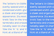Codax Corporate Minimal Modern Font, a Sans Serif Font by roomspace creative lab (Thumbnail 6 of 10)