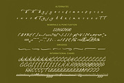 Omanik Chinta Bold Handwritten Font, a Script Font by Letterena Studios Script (Thumbnail 18 of 20)