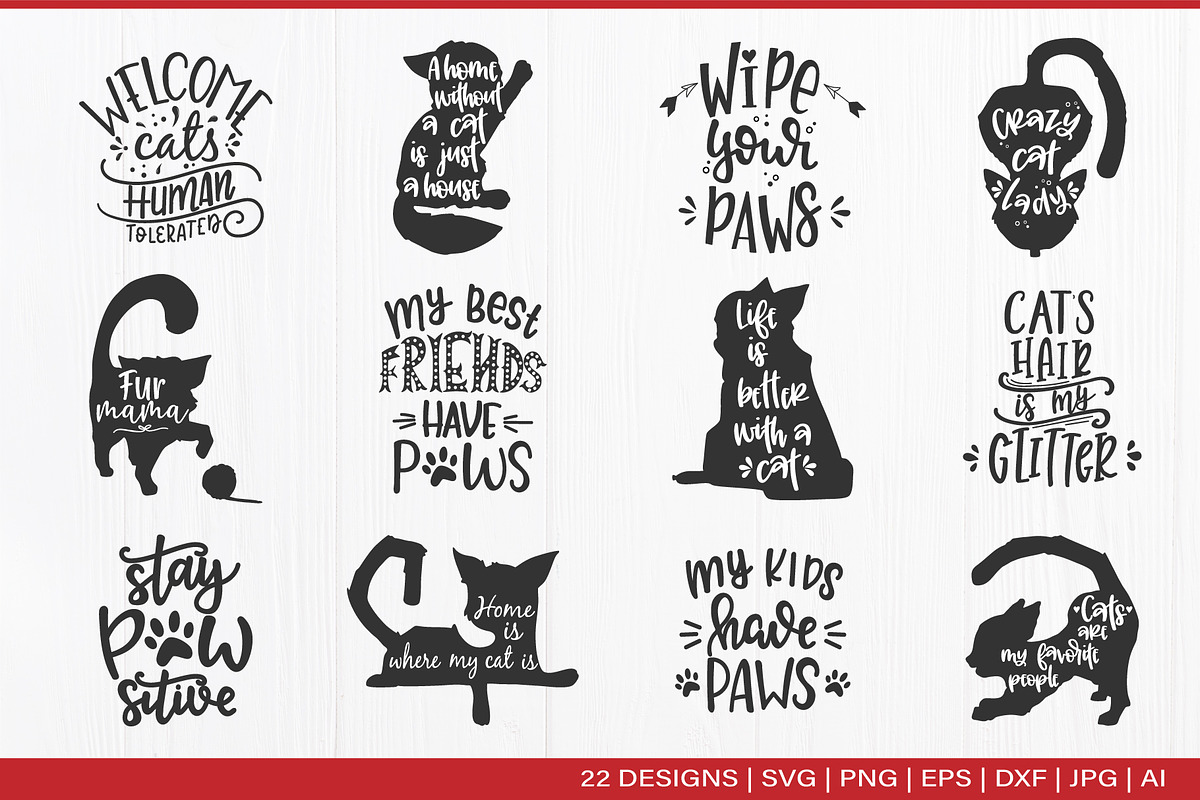 Funny Cat bundle / Cat lovers, an Animal Illustration by Tatti Graphic Studio (Photo 2 of 3)