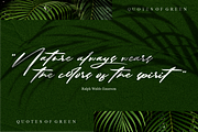 Solustion Bold Signature, a Script Font by Glyphstyle (Thumbnail 5 of 11)