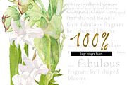 White Bouquets&Wreaths in watercolor, an Illustration by watercolorwild.graphics (Thumbnail 10 of 14)