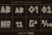 Hanalei Pro Family, a Sans Serif Font by Stiggy & Sands (Thumbnail 8 of 9)