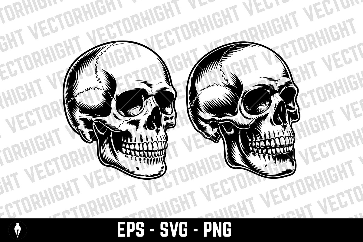 human skull, an Object Illustration by Vectorhight (Photo 2 of 3)
