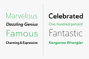 Ainslie Sans, a Sans Serif Font by insigne (Thumbnail 4 of 4)