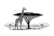 Giraffe Safari Silhouette Vector Bun, an Illustration by Designer_Momina (Thumbnail 35 of 51)