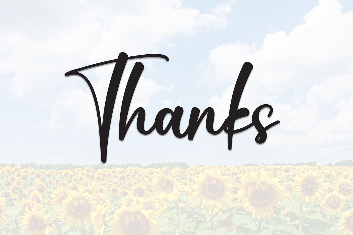 Sunflower | Script Font, a Handwritten Font by Scratchones (Photo 8 of 8)