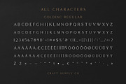 Coldiac - Luxury Serif Font, a Serif Font by Craft Supply Co. (Thumbnail 6 of 9)