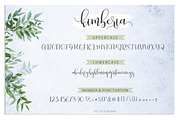Kimberia Script, a Script Font by Lettersams (Thumbnail 9 of 11)