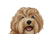 Dogs Most Popular in World,  510 Pet, an Illustration by Dneprstock (Thumbnail 4 of 5)