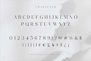 Lionary Modern Serif Font, a Serif Font by Dylla_studio (Thumbnail 10 of 11)