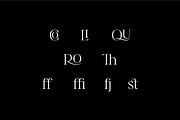 Feliz en Vista - Display Font, a Serif Font by Harmonais Visual (Thumbnail 6 of 15)