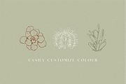 Line Art Succulent Illustrations, a Decorative Illustration by CL Creative Studio (Thumbnail 5 of 10)