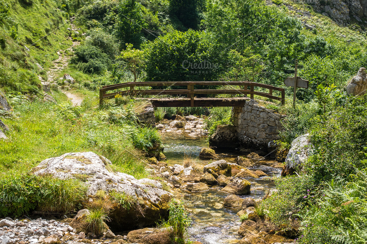 Wood bridge in Picos de Europa, Asturias, Spain, a Nature Photo by GoodGoods (Photo 4 of 4)