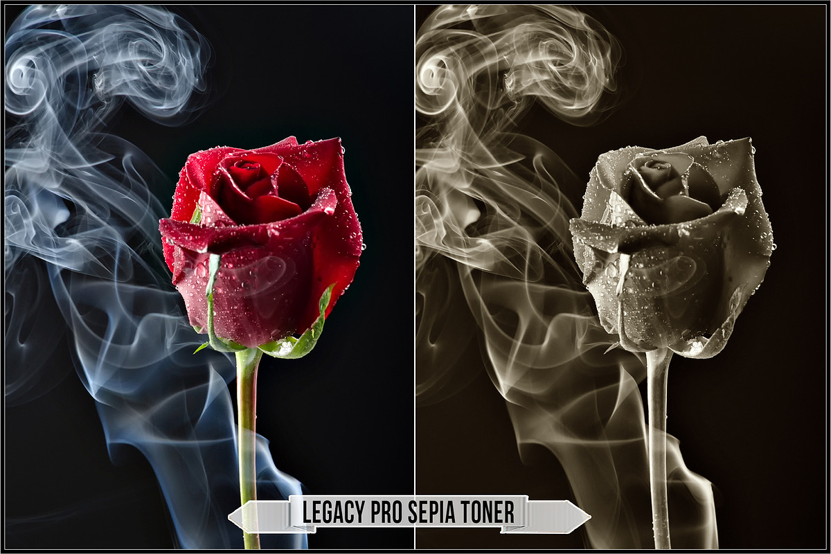 Darkroom Toners - Sepia Profiles, a Plug-in Add-On by Raztrend (Photo 11 of 30)
