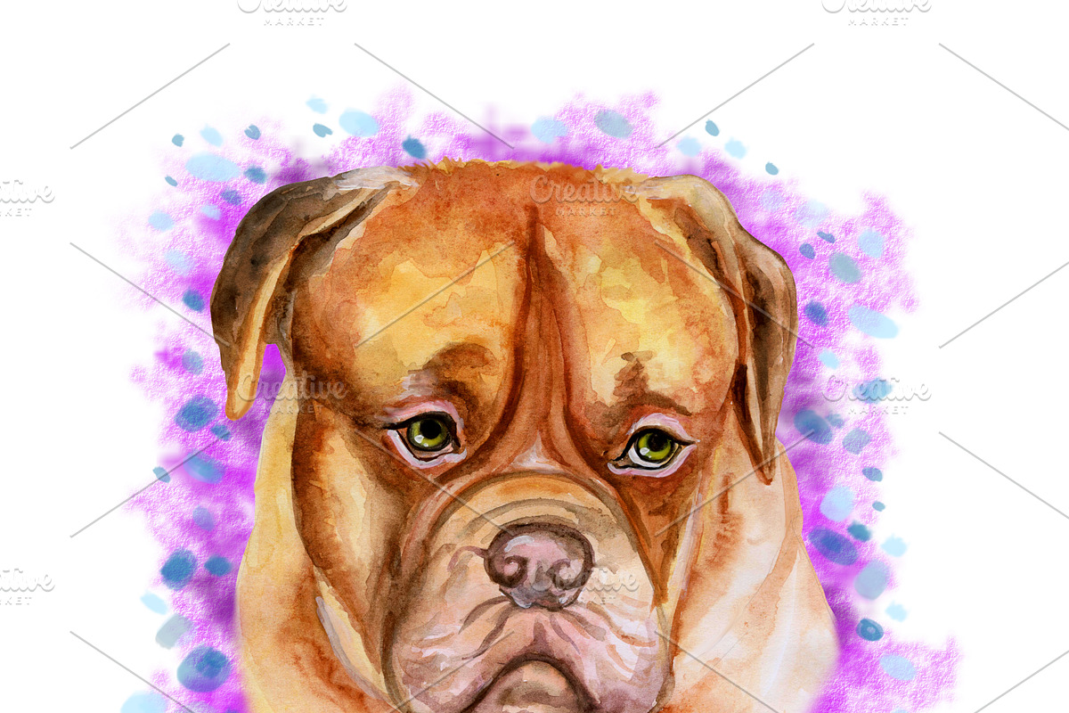 Watercolor Dogs Mega Big Bundle, an Illustration by Dneprstock (Photo 10 of 60)