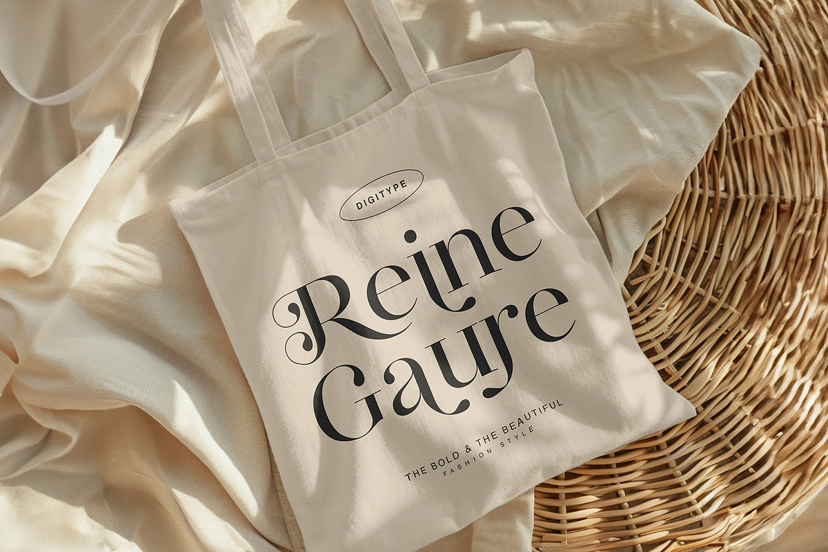 Regality Display, a Serif Font by Digitype Studio (Photo 4 of 11)